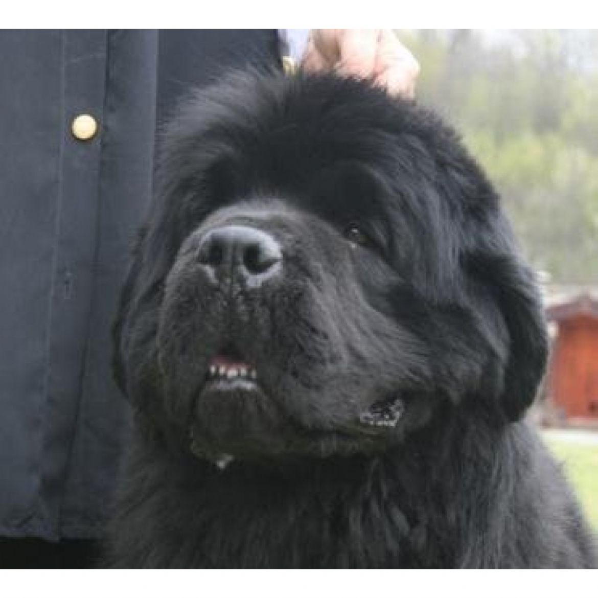 R All Blacks Newfy Valentino (05-10-2004)